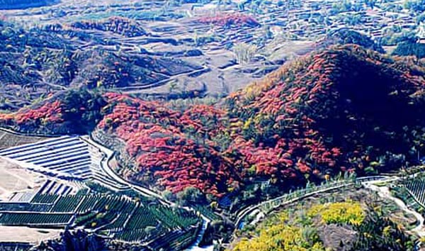 北京景仰園
