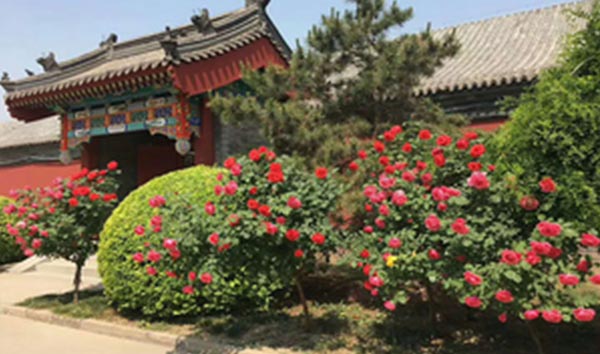 天津永定塔陵園全景