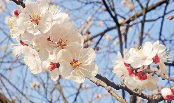 神仙山陵園