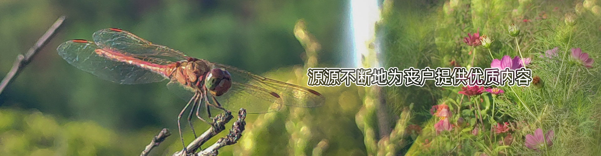 風水全解