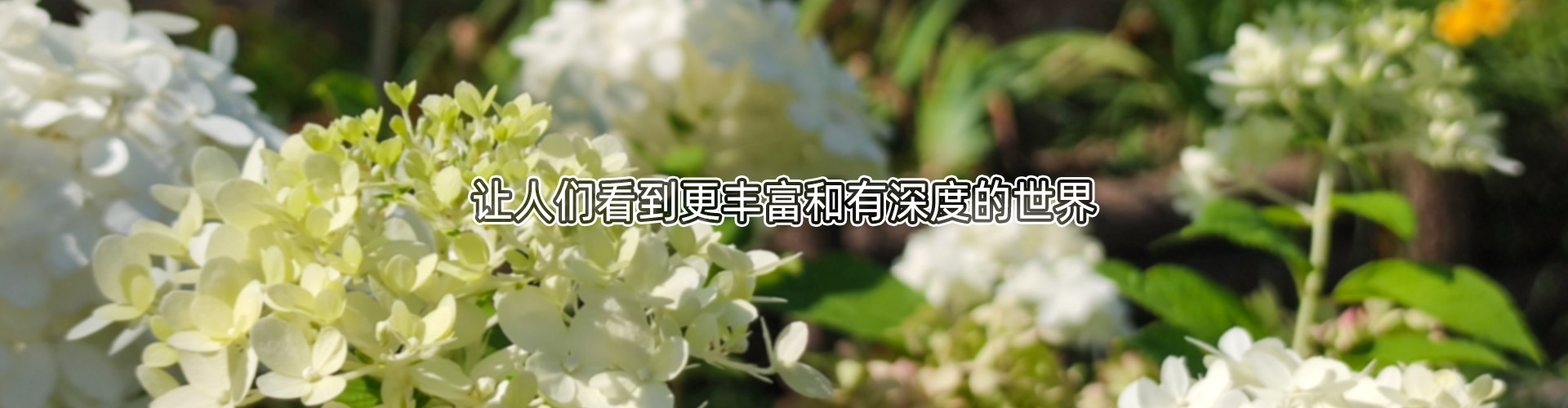 殯葬資訊