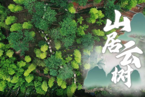 杭州墓園徑山陵園