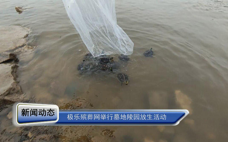 極樂殯葬網舉行墓地陵園放生活動