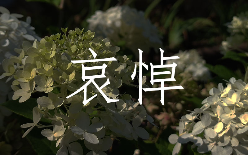 陵園公墓、墓園墓地、殯儀服務等頻道全部開啟灰色模式，沉痛悼念人民的好總理！