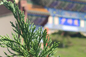 北京墓園網