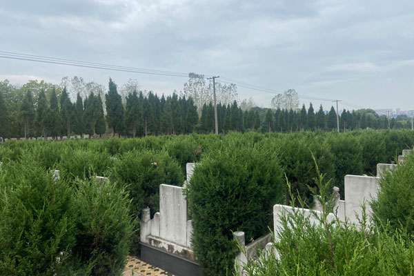 沈陽墓園為客戶提供了哪些主要服務，以幫助他們更好地處理喪葬事宜？
