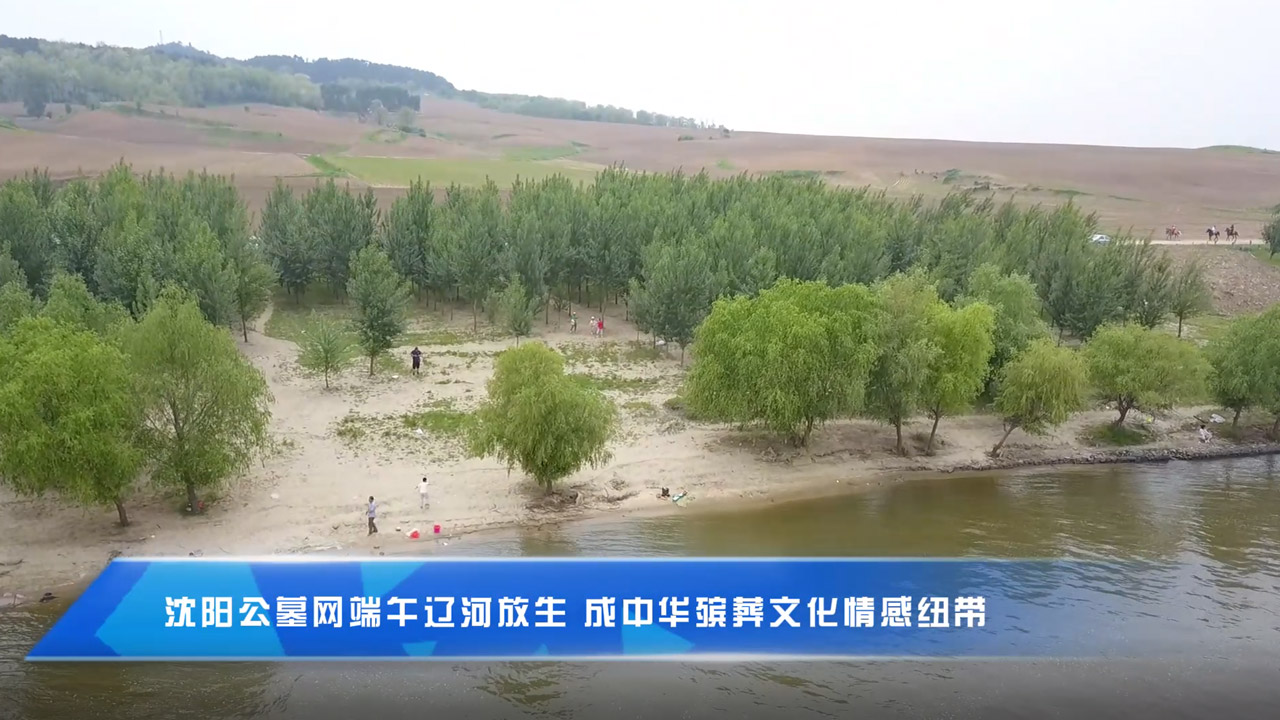 極樂殯葬網端午遼河放生 成中華殯葬文化情感紐帶