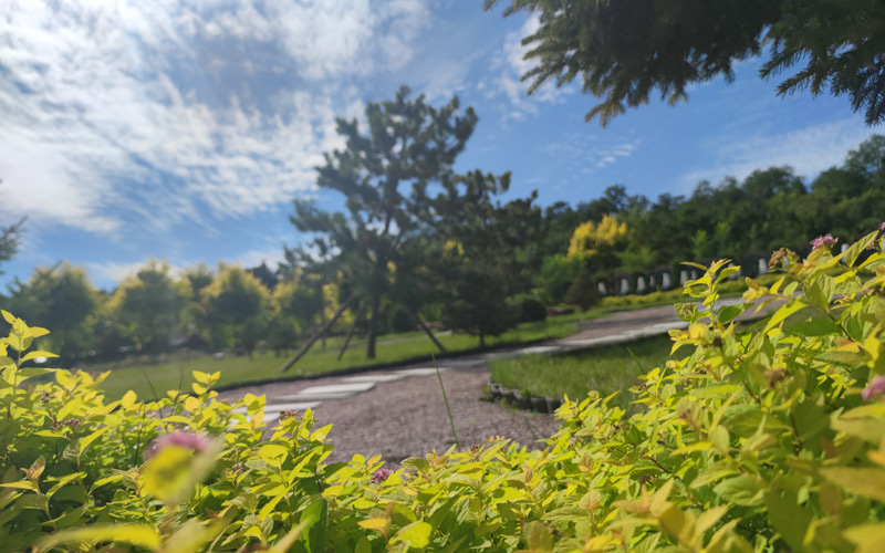 沈陽陵園公墓大全分布區域的好墓園有哪些.jpg