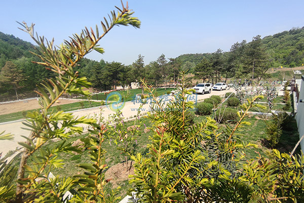 石家莊陵園價格一覽表及墓園墓地選購指南
